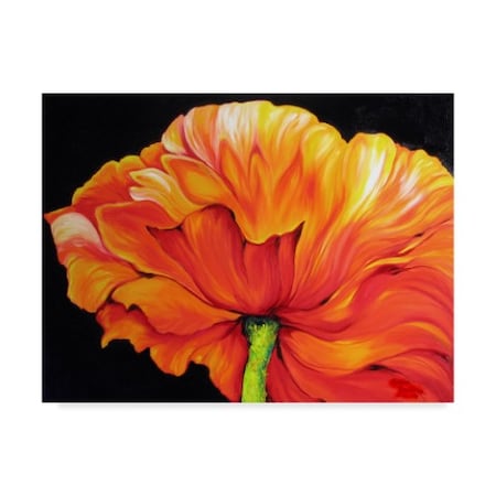 Marcia Baldwin 'A Single Poppy' Canvas Art,14x19
